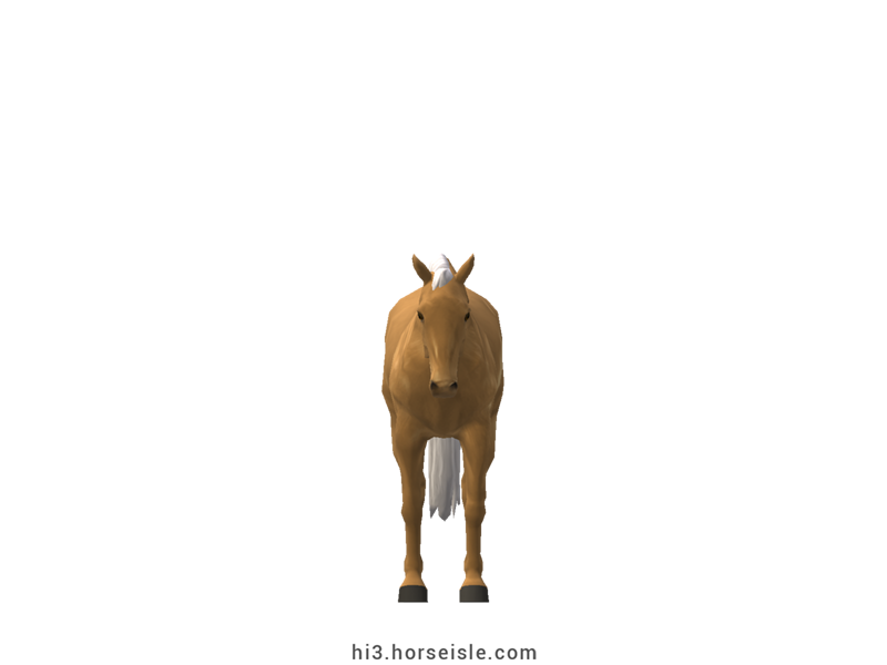 American Warmblood Copper Palomino Coat (front view)